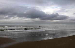 strand in de nederland, herfst foto