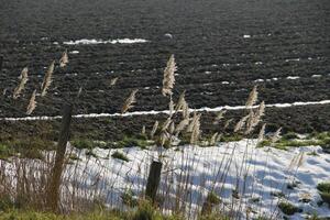 smelten sneeuw in Nederlands landschap foto