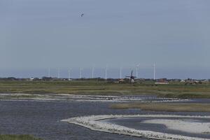 natuur reserveren achter de duinen, vogelstand broeden hun eieren en vangst vis in de noorden zee foto