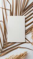 een mooi ultra minimalistisch boho stijl van a4 en dank u kaarten blanco uitnodiging mockup in diagonaal Aan een palm blad met een boho neutrale en wit kleur achtergrond foto