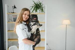 Frans bulldog hond Aan de handen van een dierenarts foto