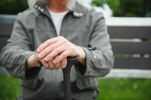 portret van senior Mens Holding wandelen stok terwijl resting in park. foto