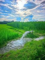 mooi natuur foto