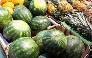 groen en gestreept watermeloenen in karton dozen Bij een lokaal buitenshuis markt foto