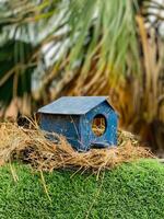 een blauw vogel huis met een gat in de midden- van het foto