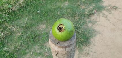 dorp huis gemaakt fruit taart en melk foto