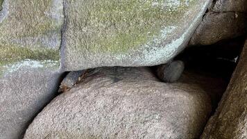 steen achtergrond van basalt rotsen, natuurlijk erosie foto