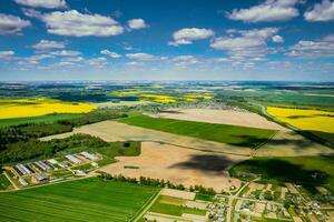 top visie van de geel koolzaad veld- en de dorp. een gezaaid veld- van koolzaad in wit-rusland.de dorp is een veld- van koolzaad foto