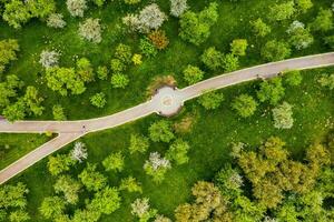 visie van de hoogte van de loshitsky park in minsk.winding paden in loshitsky park.wit-rusland.apple boomgaard foto