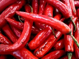 vers rood Chili voor uitverkoop in supermarkt. top visie stapel van vers Chili en rijp rood heet Chili voor uitverkoop in de markt. achtergrond beeld van vers rijp pittig Chili foto