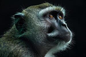 wijs op zoek primaat met een contemplatief blik foto