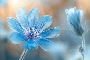 een blauw bloem met een Purper centrum is de hoofd focus van de foto
