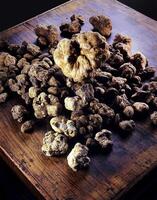 wit truffel, een heel bijzonder en duur Italiaans kruid, veel gewaardeerd in haute keuken foto
