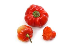 paprika peper, een heerlijk braziliaans groente breed gebruikt in Koken foto