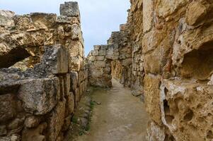 ruïnes van de oude stad van salami, noordelijk Cyprus 4 foto
