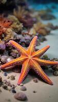 levendig oranje zeester met Purper tips Aan zanderig zeebedding, omringd door kleurrijk koraal, ideaal voor marinier en leerzaam thema's foto