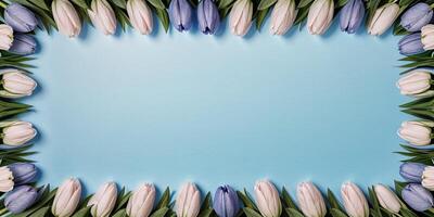 een kader van blauw en wit tulpen foto