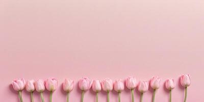 meerdere roze tulpen Aan een duidelijk roze achtergrond foto