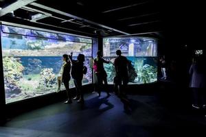 Genua, Italië, 2 juni 2015 - niet-geïdentificeerde mensen in het Genua-aquarium. het aquarium van genua is het grootste aquarium van italië en een van de grootste in europa. foto