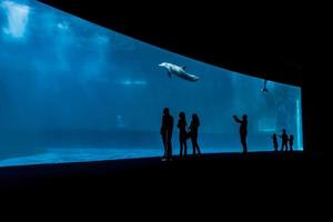 Genua, Italië, 2 juni 2015 - niet-geïdentificeerde mensen in het Genua-aquarium. het aquarium van genua is het grootste aquarium van italië en een van de grootste in europa. foto