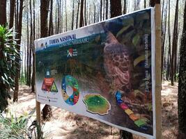 informatie teken bord Aan pijnboom Woud in monteren merbabu nationaal park foto