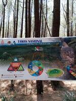 pijnboom Woud informatie teken in monteren merbabu nationaal park foto