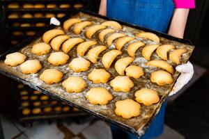 heerlijk bakkerij woestijnen in handen. jong vrouw werken met industrieel bakken. foto