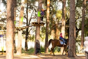 gelukkig school- meisje genieten van werkzaamheid in een beklimming avontuur park Aan een herfst dag foto