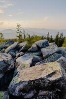 rotsachtig Oppervlakte met bomen en bergen in de achtergrond foto