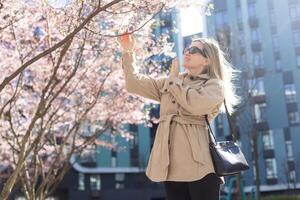 sakura takken met bloemen Aan een boom Aan de stad straten. gelukkig vrouw meisje in een grijs palet wandelingen langs een steeg met bloeiend sakura. prachtig luxe meisje buitenshuis. sakura boom bloeiend. foto