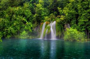 een kleine waterval in een groen paradijs