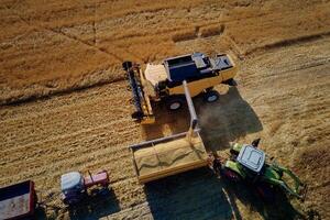 combineren oogstmachine werken in agrarisch veld. oogst seizoen foto