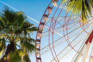 visie van de ferris wiel attractie tegen een achtergrond van blauw lucht tussen palm bomen. ferris wiel in de Georgisch stad van batoemi. foto