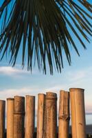 abstract achtergrond Aan een tropisch vakantie thema. tropisch achtergrond Aan de kust met palm boom en bamboe schutting. foto