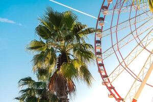 visie van de ferris wiel attractie tegen een achtergrond van blauw lucht tussen palm bomen. ferris wiel in de Georgisch stad van batoemi. foto