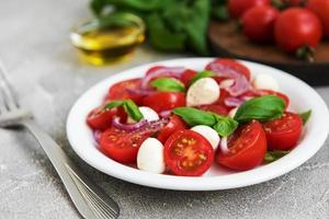 Italiaanse Caprese Salade