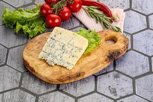 fijnproever blauw kaas met gietvorm foto