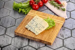 fijnproever blauw kaas met gietvorm foto