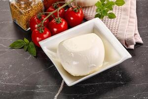 Italiaans kaas Mozzarella buffel bal foto