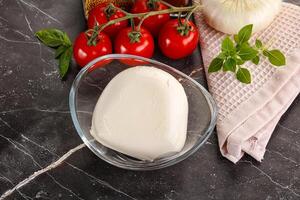 Italiaans kaas Mozzarella buffel bal foto