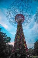 lichten in tuinen door de baai in Singapore. foto