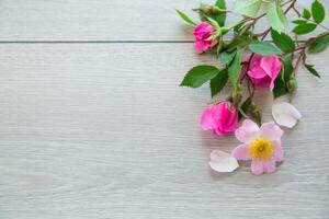 licht houten achtergrond met helder roze rozen foto