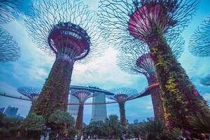 lichten in tuinen door de baai in Singapore. foto