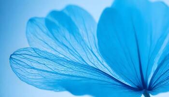 blauw kalmte behang achtergrond begrip, close-up schot van delicaat blauw bloem bloemblaadjes, markeren hun ingewikkeld texturen foto
