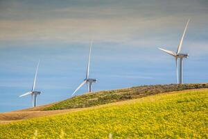 windmolens voor de productie van elektriciteit foto