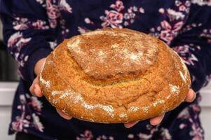 smakelijk eigengemaakt geheel graan brood in de handen van een vrouw 4 foto