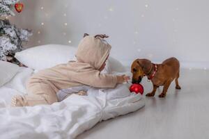 baby in een bodysuit met hert hoorns en een teckel Speel met een rood Kerstmis bal aan het liegen Aan de verdieping foto