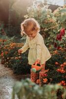 weinig meisje in een geel jurk en rubber laarzen is gieter bloemen in de herfst tuin foto