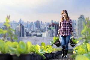 Aziatisch vrouw tuinman is groeit organische stoffen groenten terwijl werken Bij op het dak stedelijk landbouw voor stad duurzame tuinieren Aan beperkt ruimte naar verminderen koolstof voetafdruk verontreiniging en voedsel veiligheid foto
