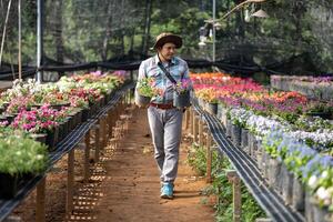 jong Aziatisch tuinman is kiezen bloeiend fabriek van de lokaal tuin centrum kinderkamer vol van zomer fabriek voor weekend tuinieren en buitenshuis hobby foto